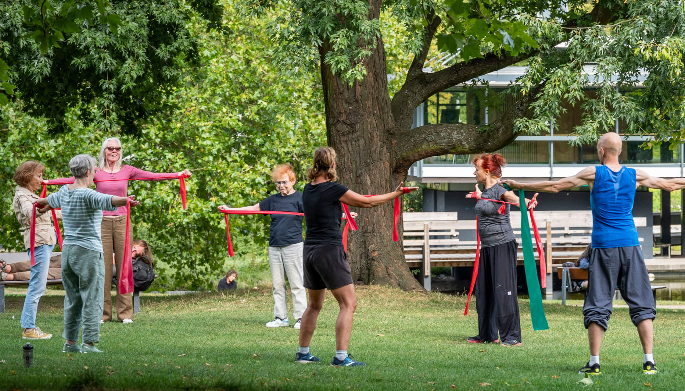 Gemischte Sportgruppe trainiert mit Therabändern im Park in Hamburg – barrierearmes Bewegungsangebot